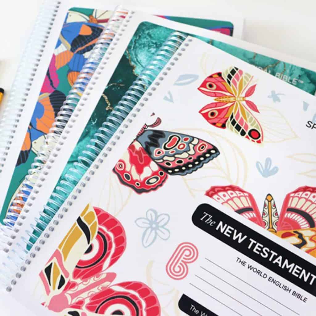 The Spiral Bible Review- A Dream Journaling and Notetaking Bible All in One