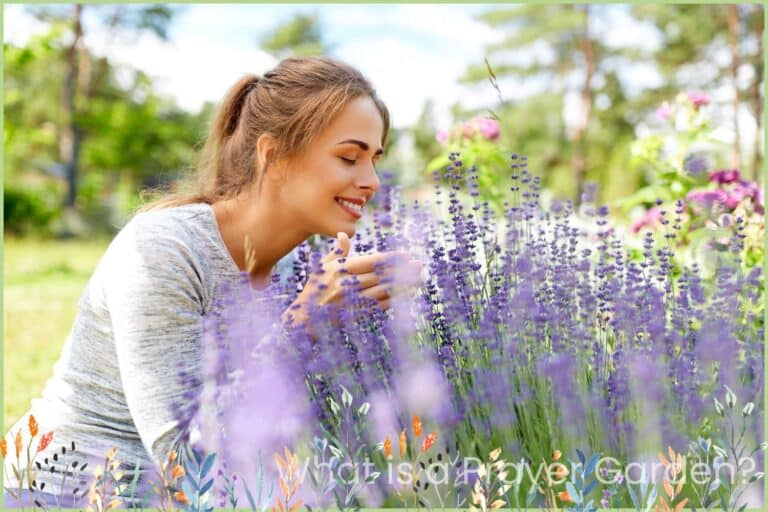 What is a Prayer Garden and Why You Need One
